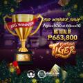 Year-Ender Bonus From the Tiger 